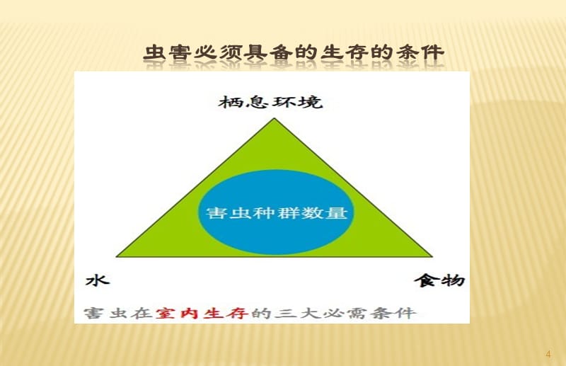 工厂虫鼠害综合防治方案ppt课件.ppt